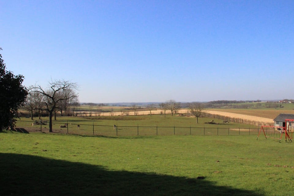 View from Holiday Home [summer]