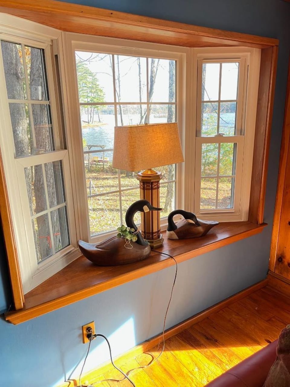 Loons at the bay window 
