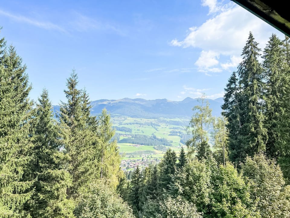 View