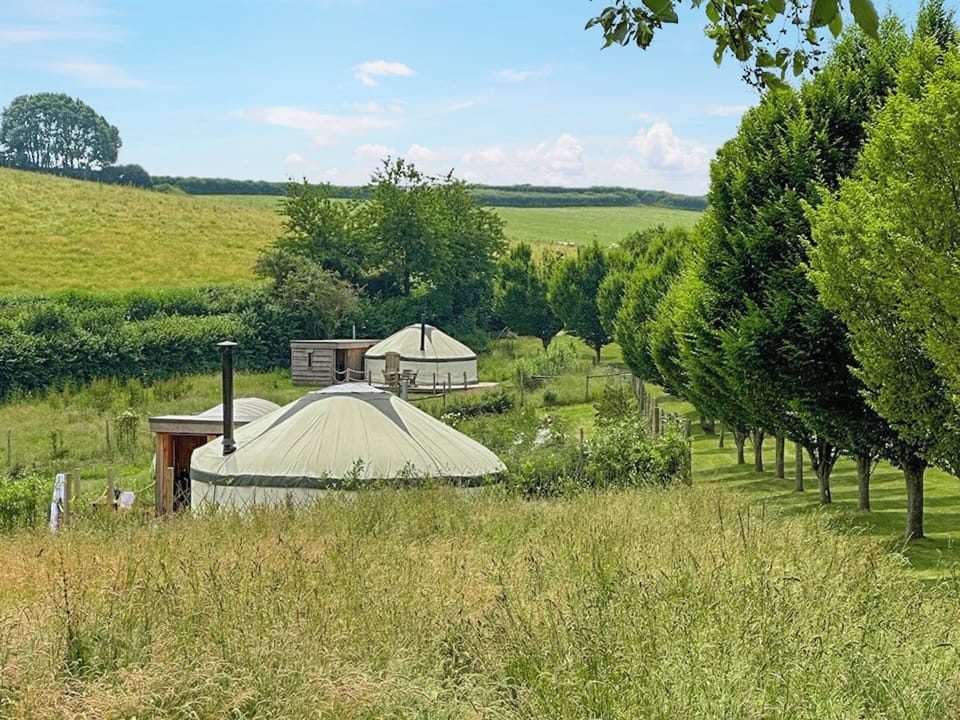 Surrounding area | Bracken Yurt - Walnut Farm, Beaminster