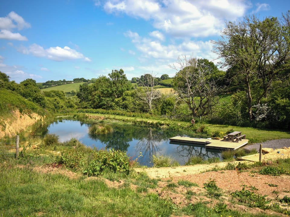 View | Russet Yurt - Walnut Farm, Beaminster