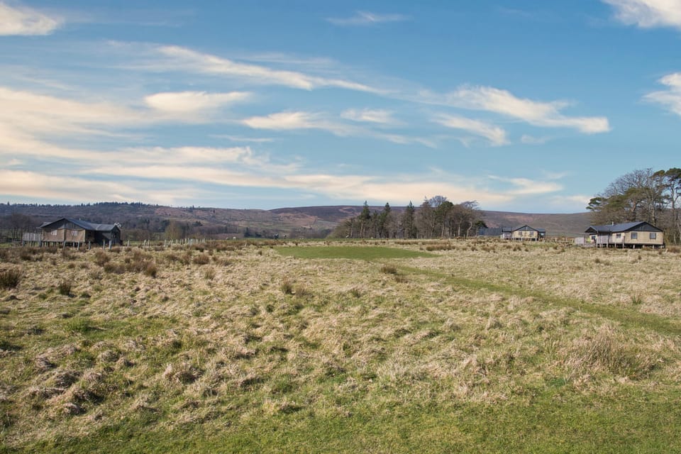 Redshank on the left. Mallard at the top and Plover on the right