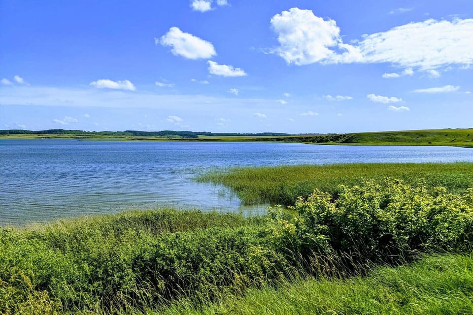 Water view
