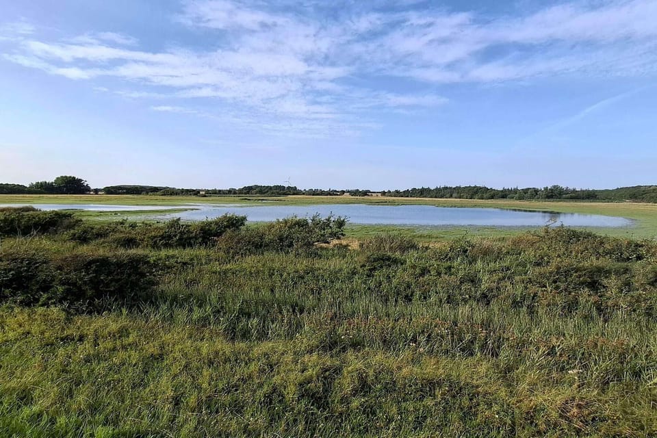 Water view