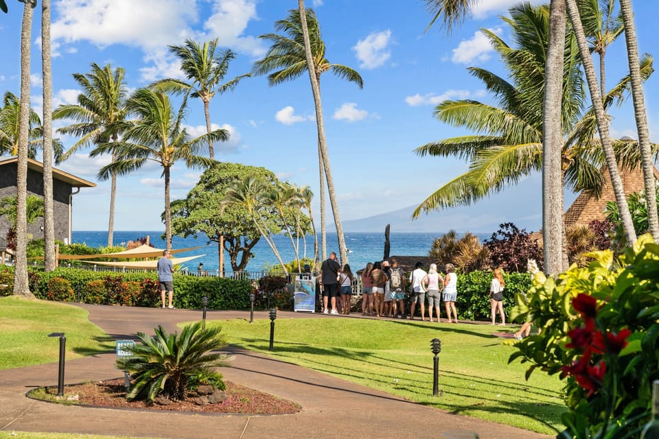 Lush tropical resort grounds