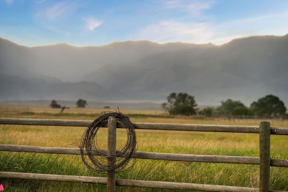 Paradise Valley
