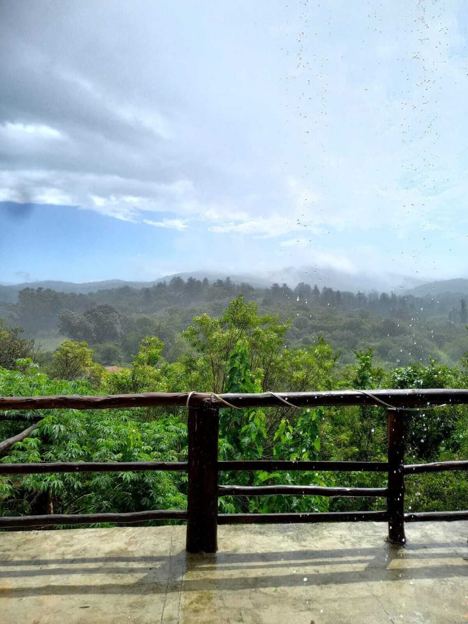 View from property