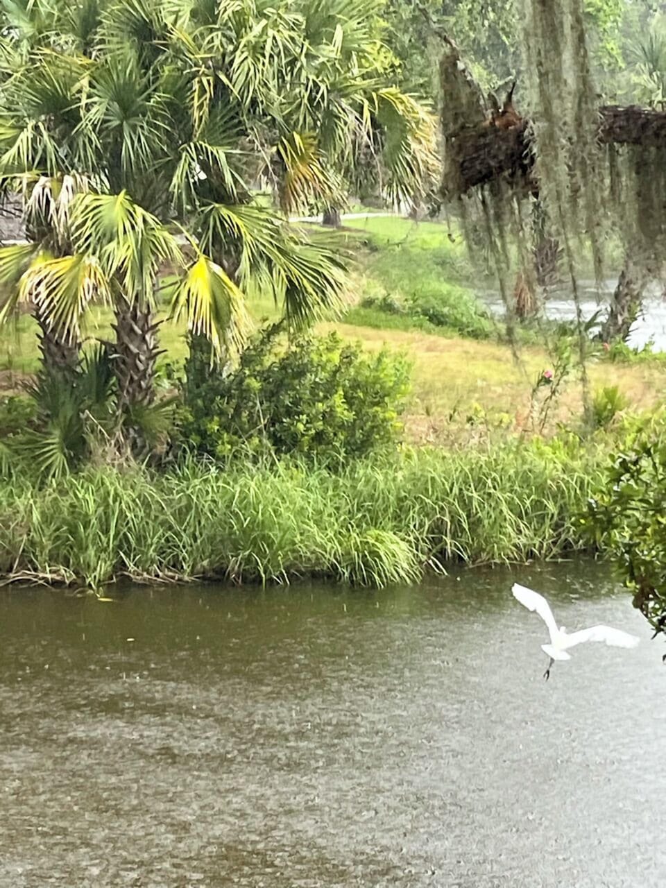 Bird watcher's paradise