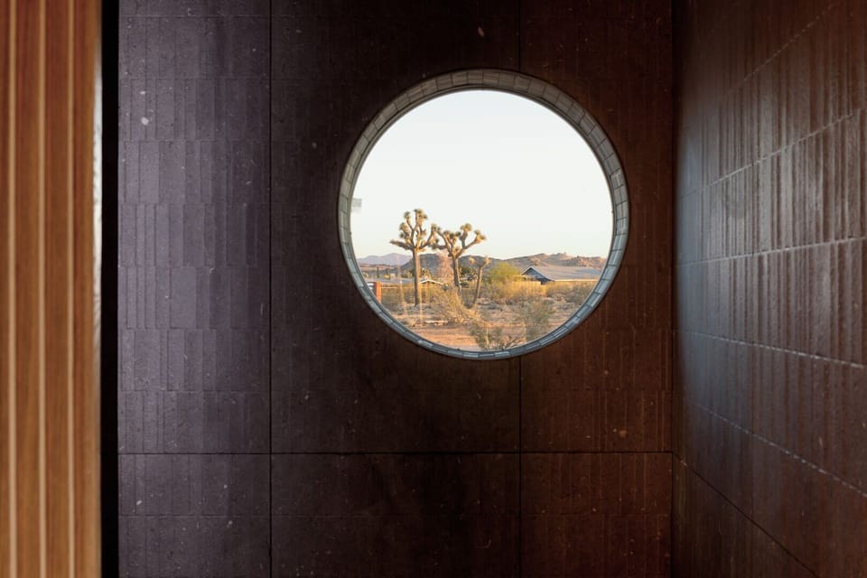 Perfectly framing the Joshua Trees.
