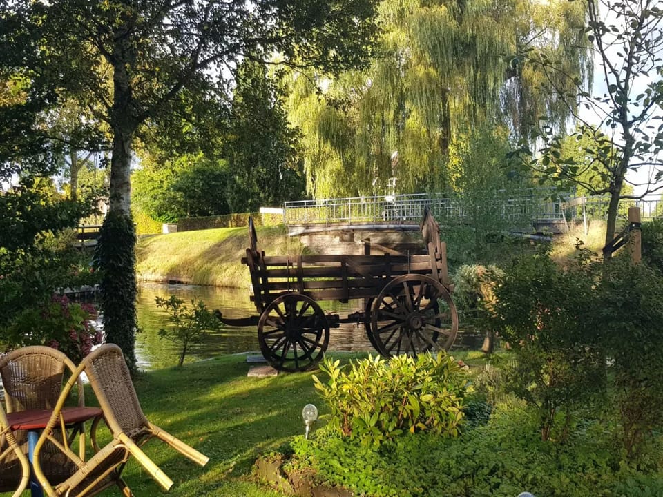 Garden [summer]