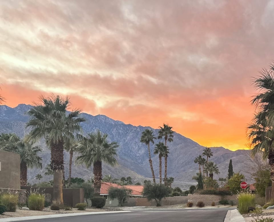 View from Front Yard