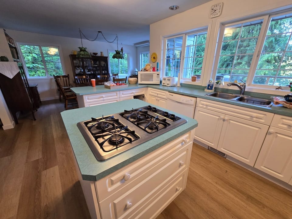 Double sink, dishwasher and just about any appliance you can with for.