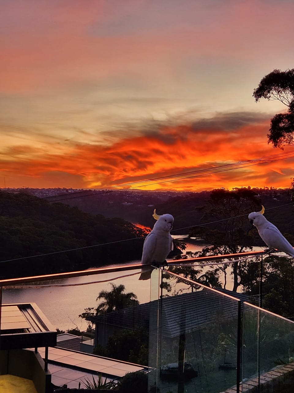 View from property