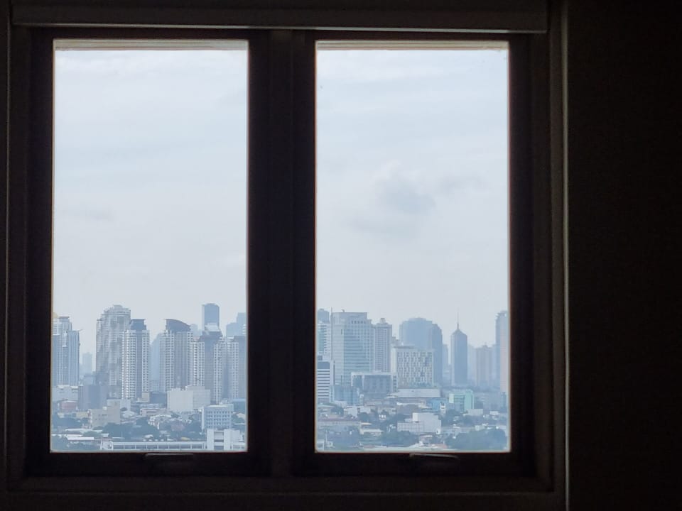 Actual view from living area