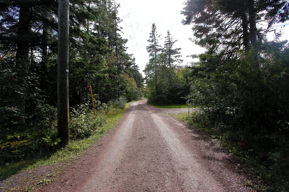 Lane to the cottage