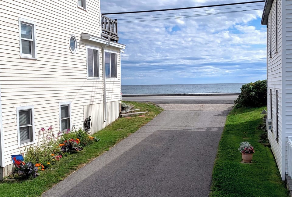 View up the driveway from the front porch.