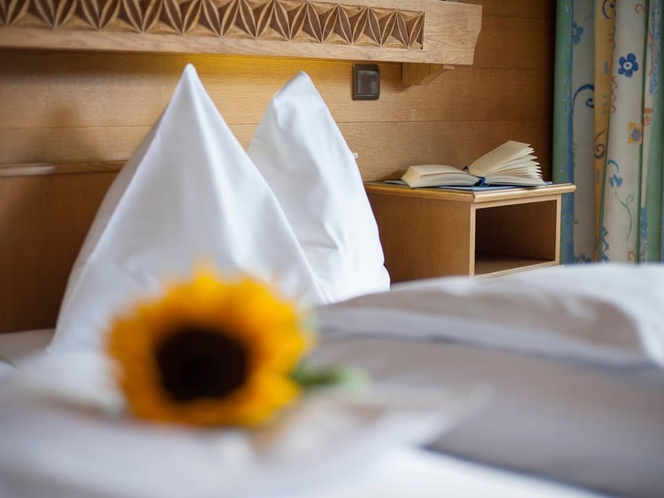 Basic double room - Friedrichsburg Bed and Breakfast in Bad Hofgastein