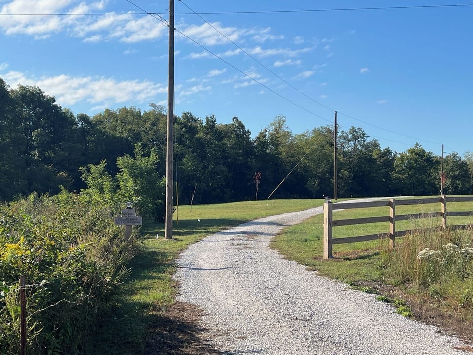 Driveway 
