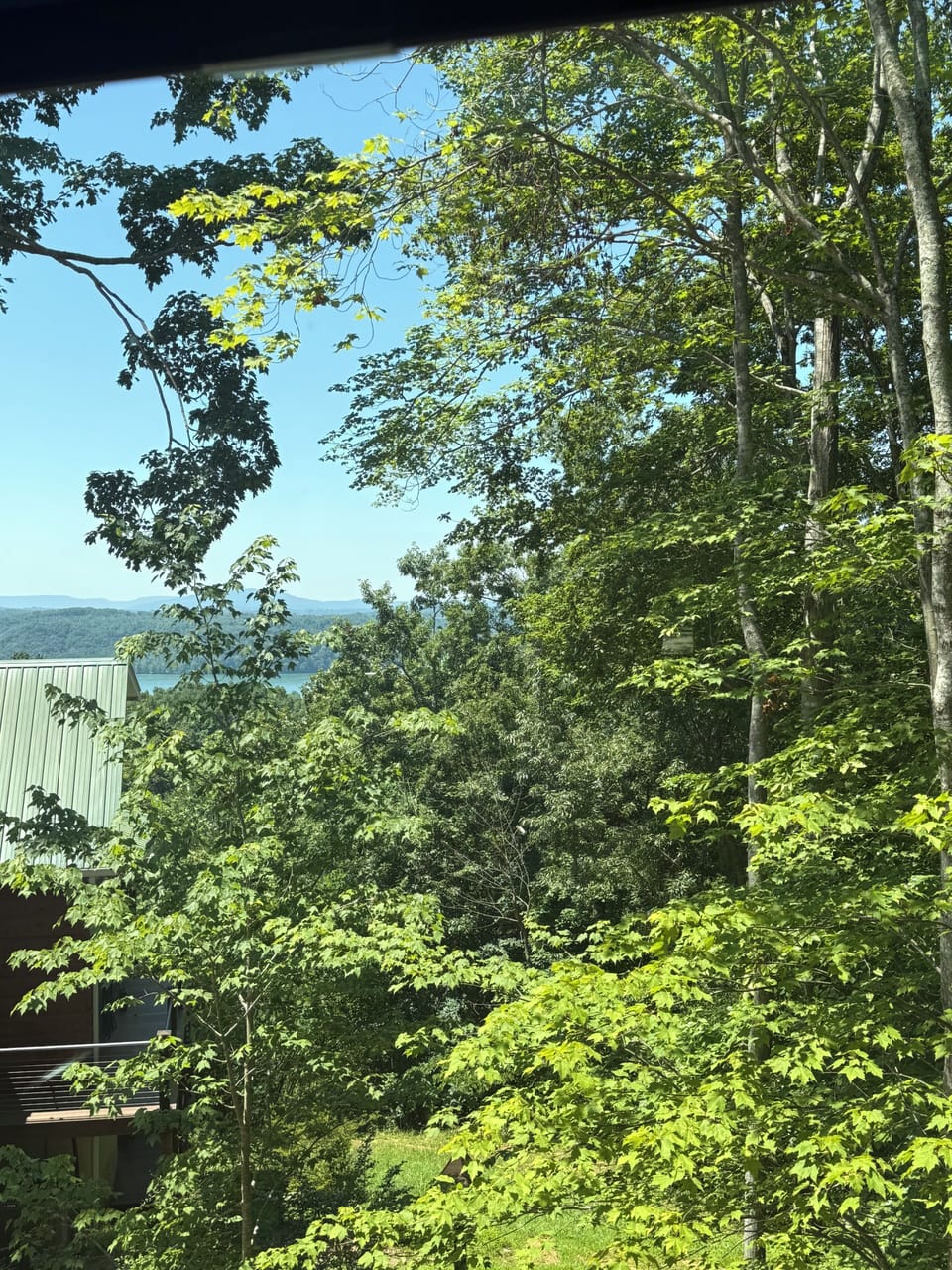 View from bedroom