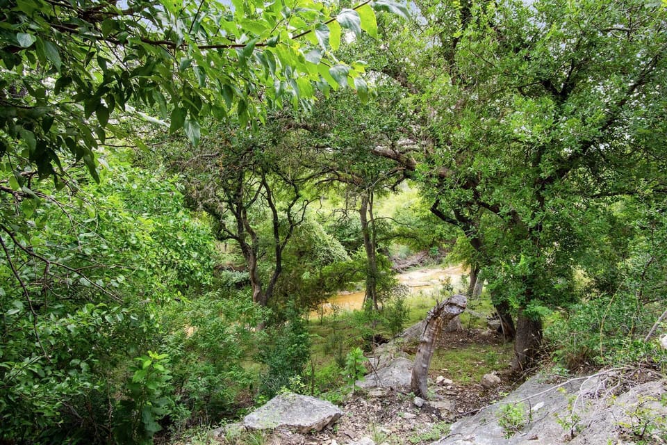 Peaceful wooded trail leading to a serene creek, perfect for nature walks and relaxation.