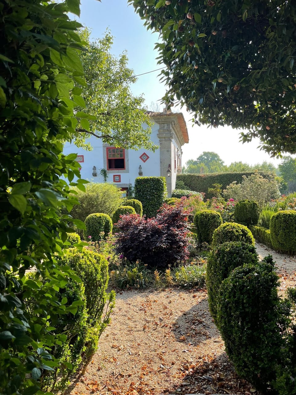 MAÍNHA House