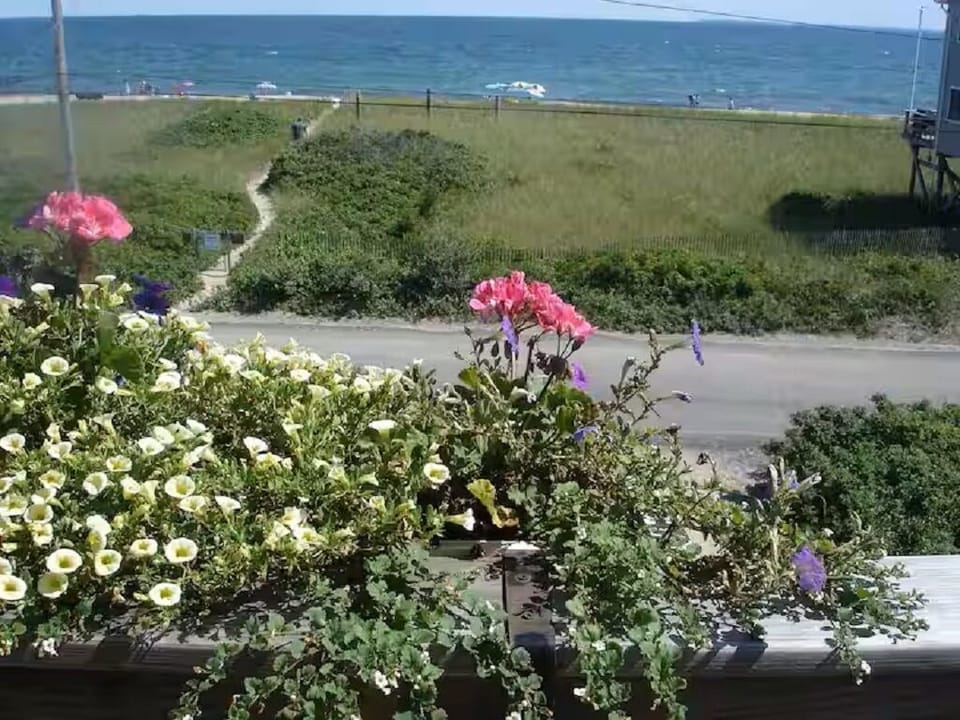 View of Ocean from Front Deck