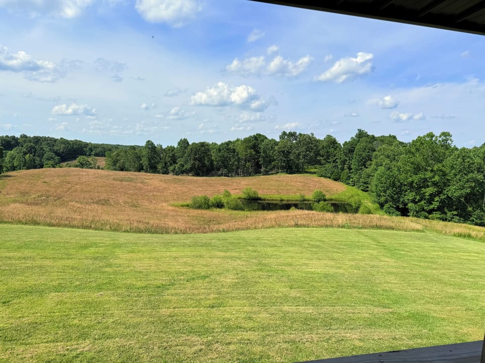 View from property
