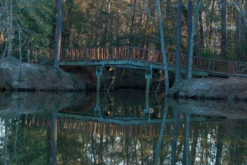 Unwind by tranquil waters and enjoy peaceful nature views.