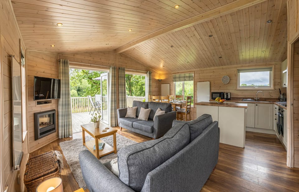 Living room with TV and electric log burner