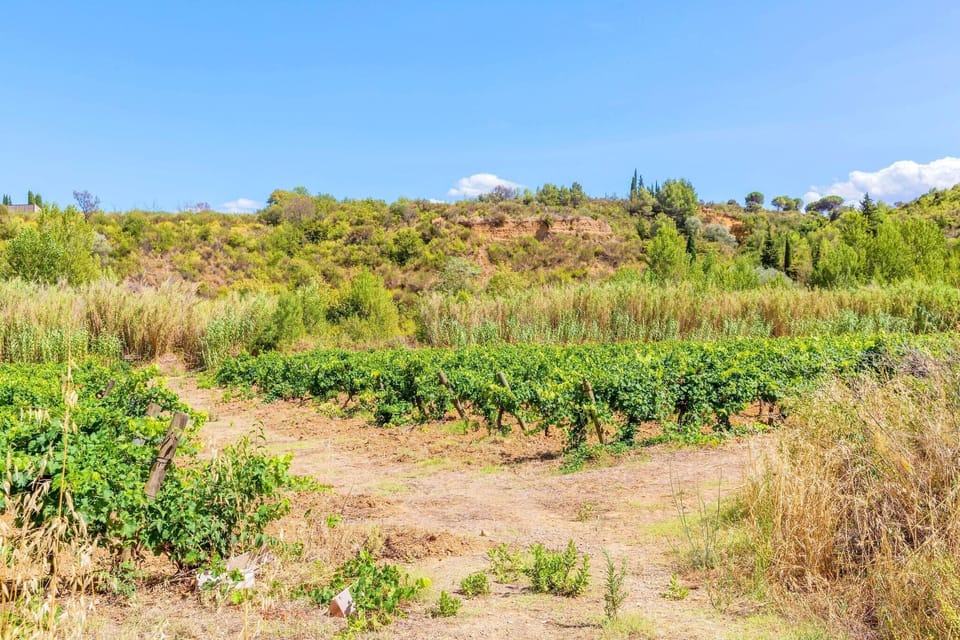 Surroundings [summer] (1-5 km)