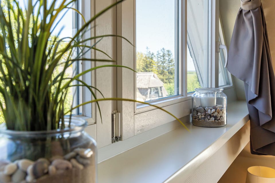 Window with Plants and Stones on the Windowsill