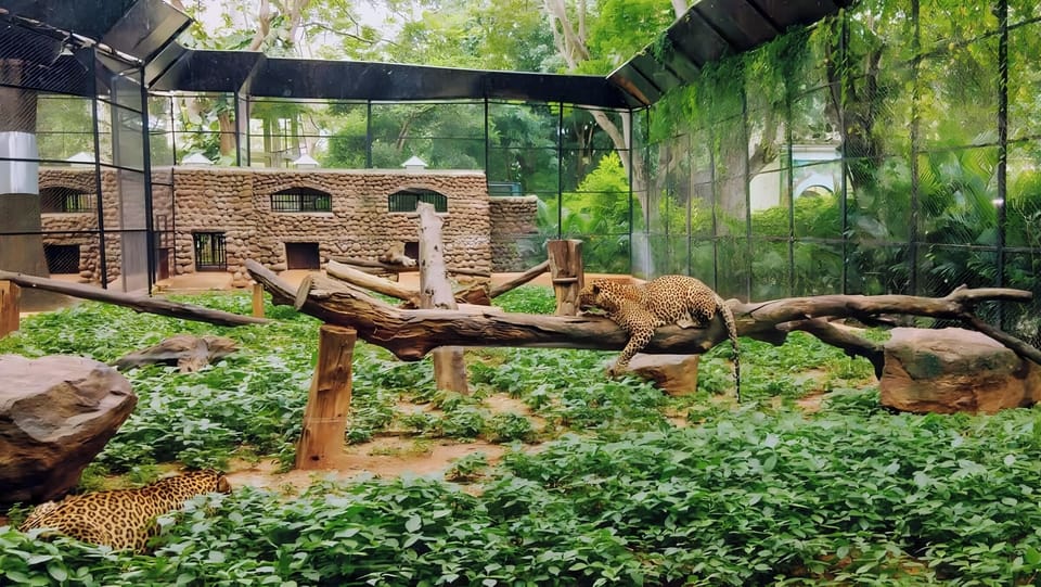 Birmingham Zoo - 3.2 miles away