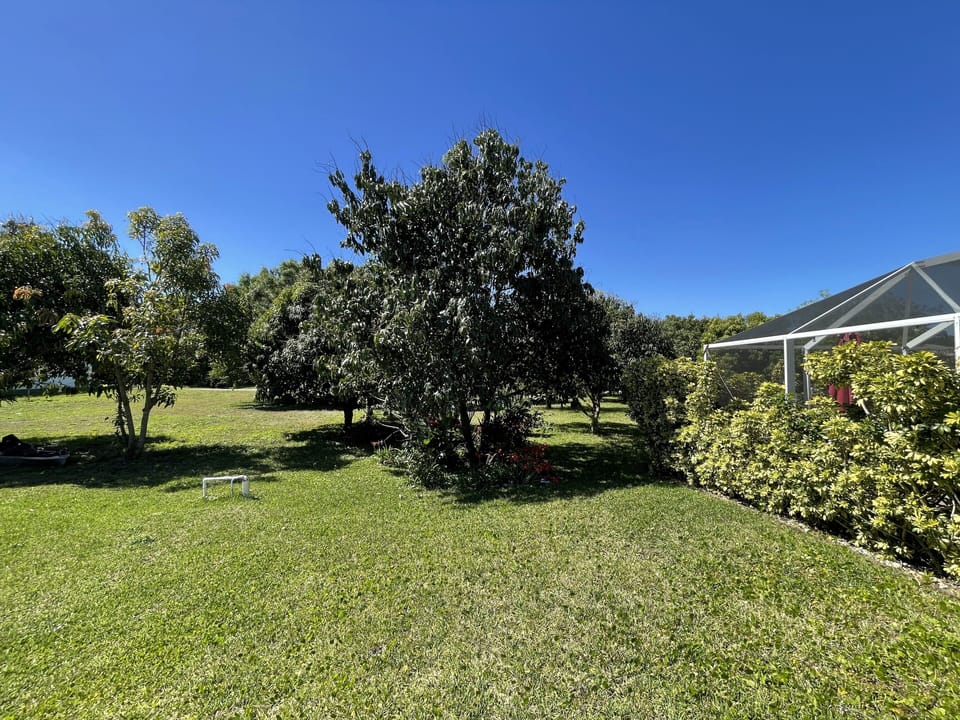 Tropical Garden 