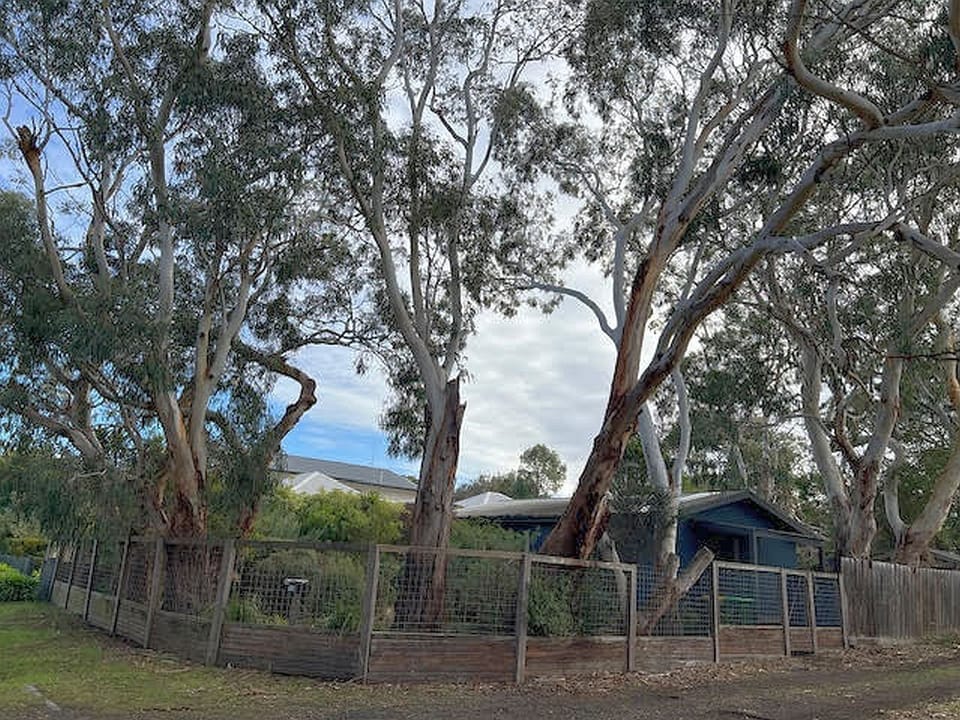 View of the home from the street