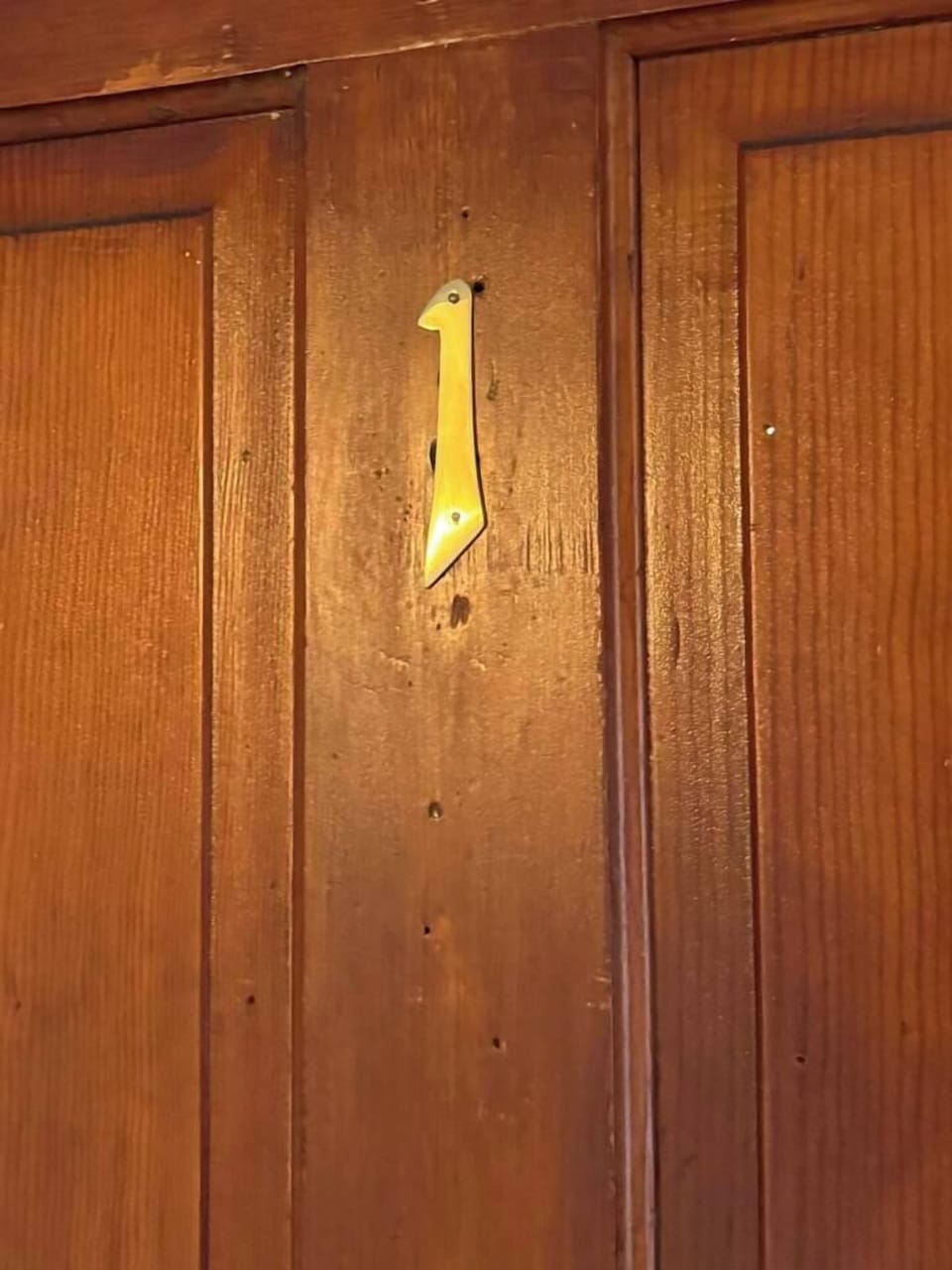 Focuses on a wooden entry door with a brass door latch.