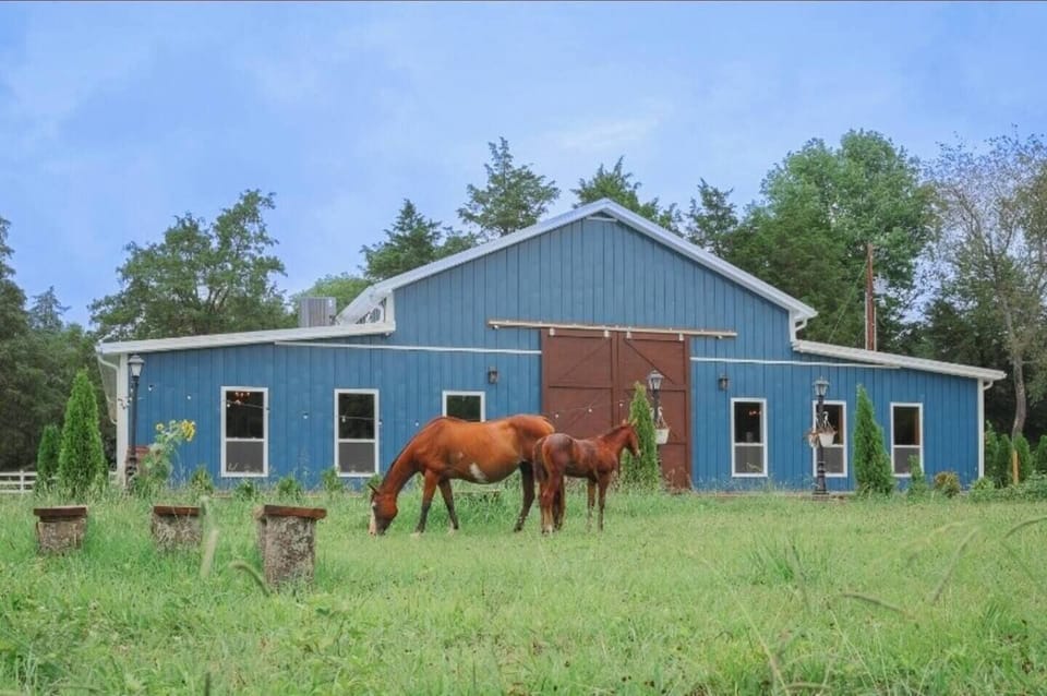 cf40c81d-4ad3-46db-85ea-96cfe2ac2577