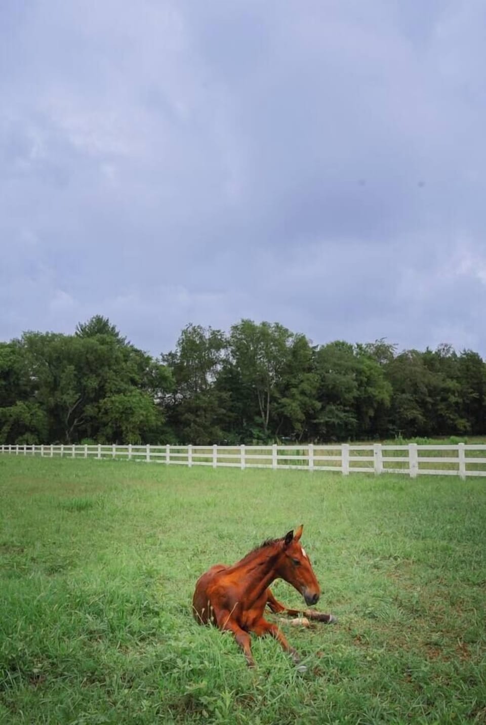 113a4a53-0370-4e66-a16a-69efe93cdbd1