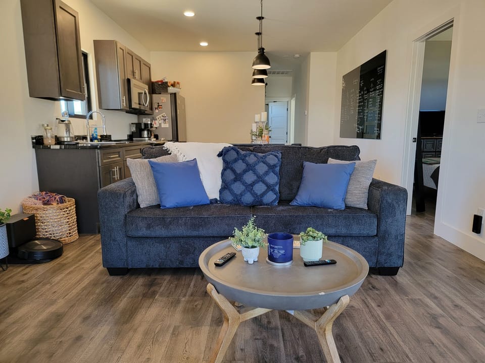 Living area with sleeper sofa