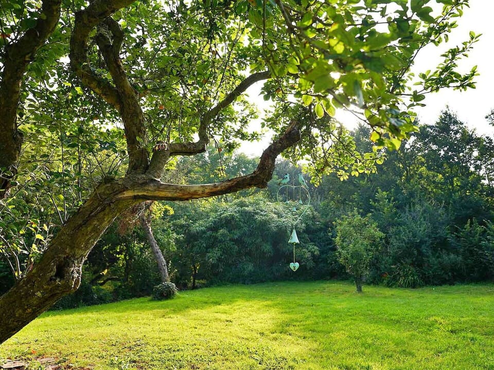 Apartment, Mountain Range, Valley, Alps, Hotel, Mountain Village
