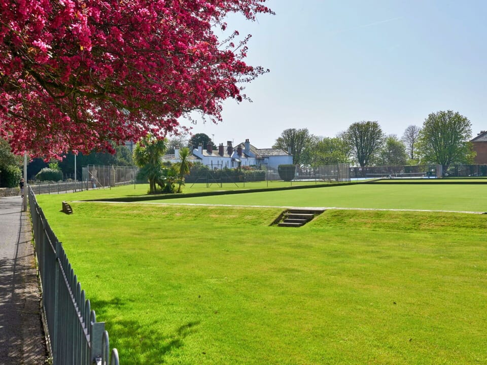 Grass, Green, Plain, Grassland, Land Lot, Public Space, Lawn, Groundcover, Garden