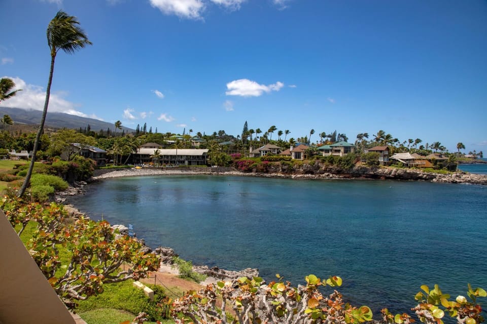 Oceanfront views of calm waters and tropical greenery