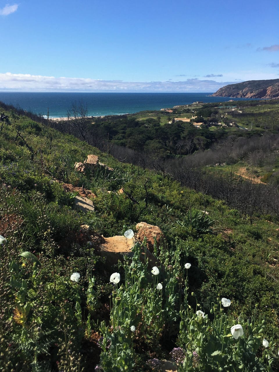 A uma curta caminhada da casa/A short walk from the house