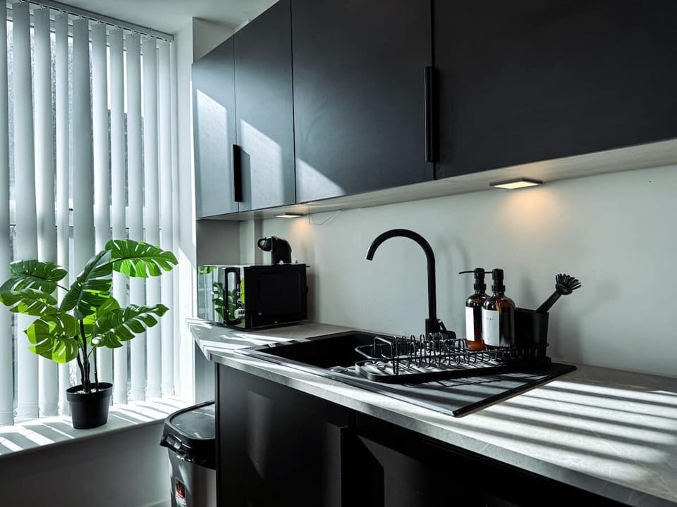 Sink, Soaps and Microwave