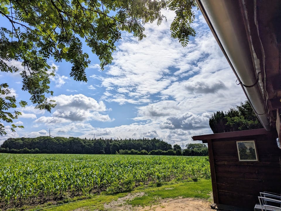 View from property