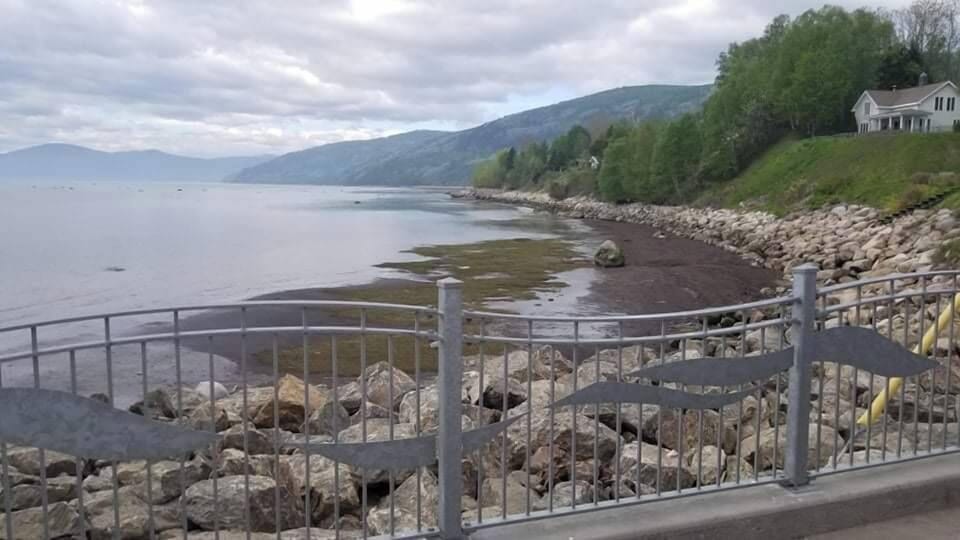 Visitez l'Ile aux Coudres à vélo, à 41,1 km du chalet
