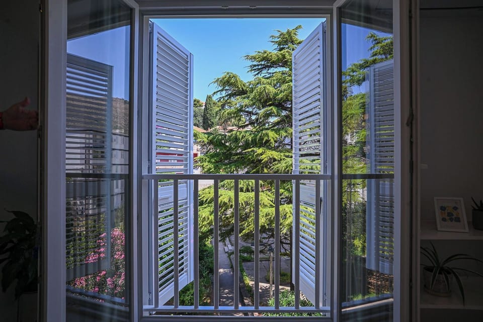 View from the property