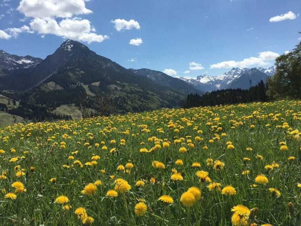 Around Oberstdorf you can go hiking.