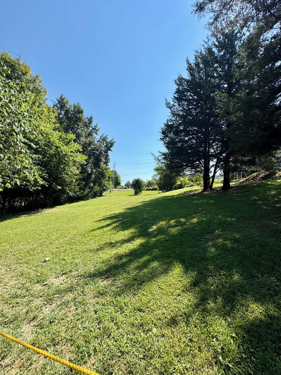 Back yard