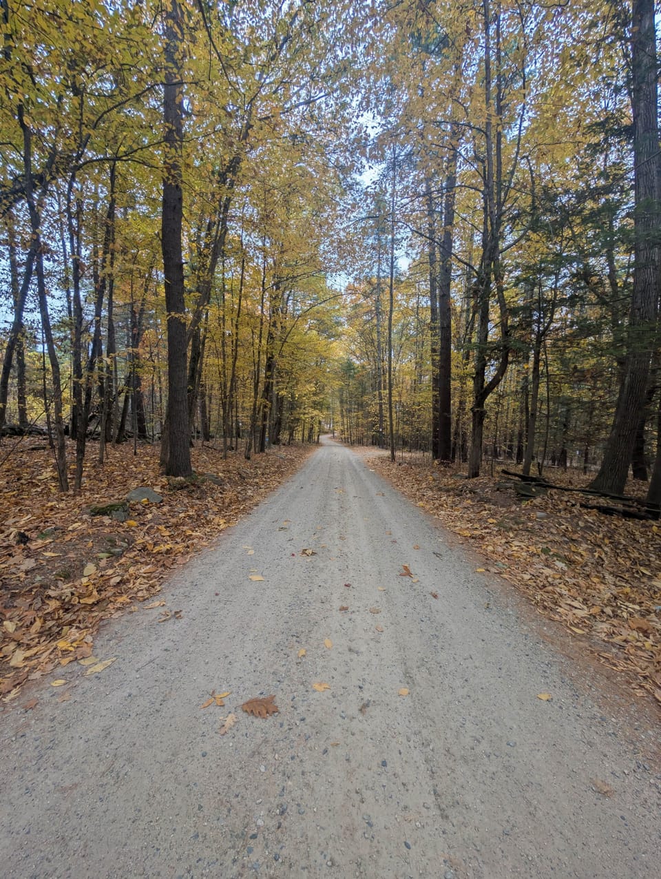 Our Road