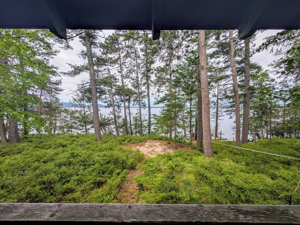 View from porch